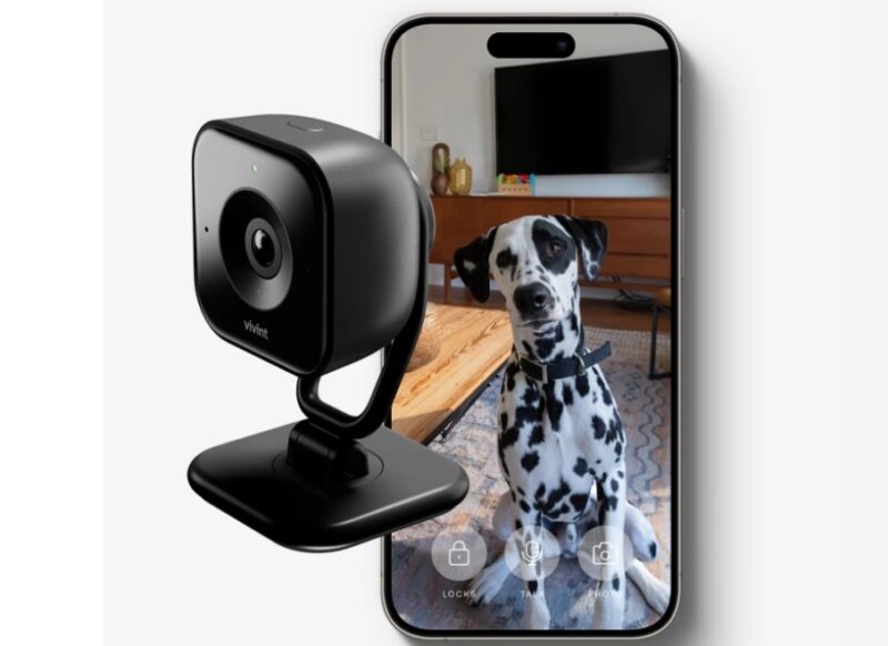 interior cameras is to keep an eye on pets