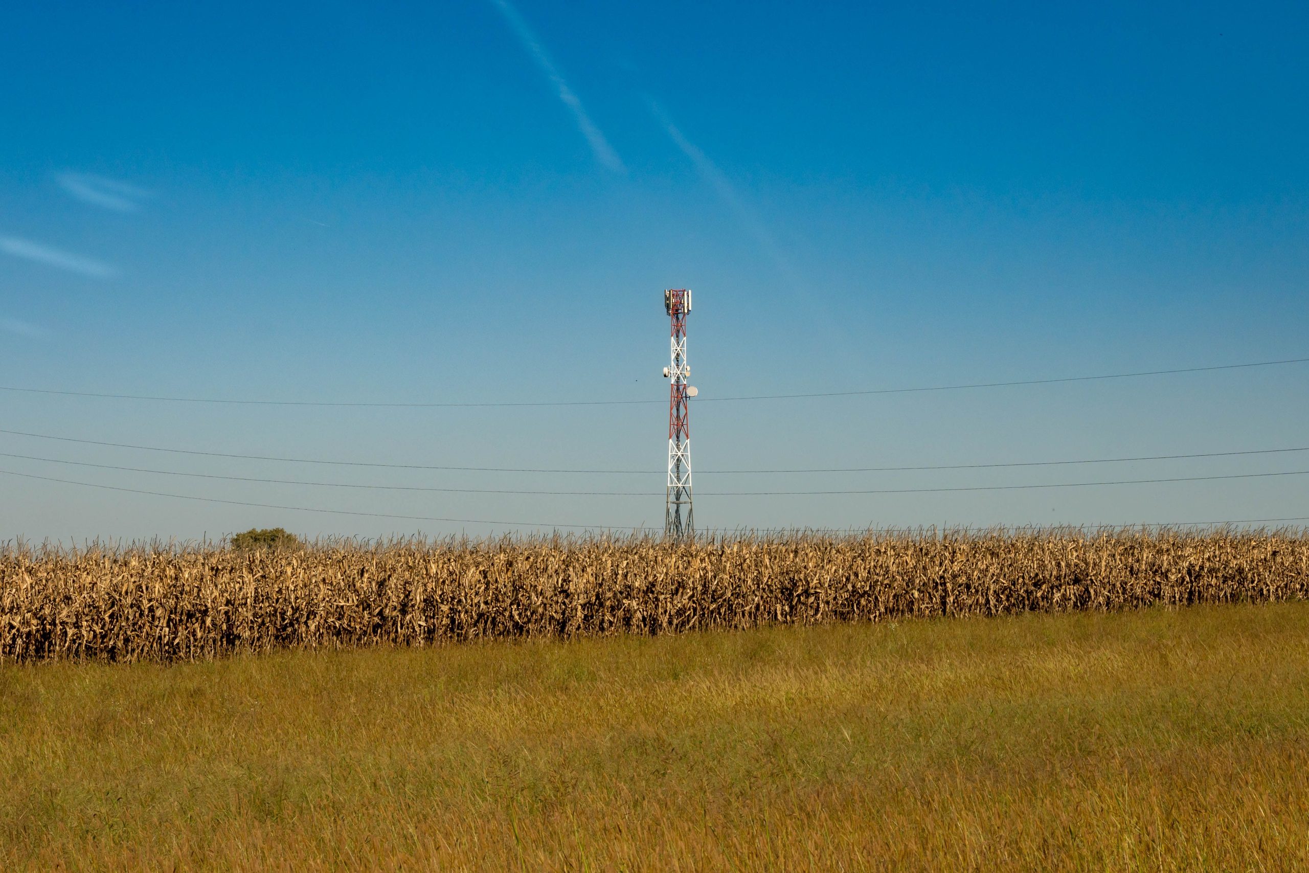A communication tower in a rural field with a clear blue sky